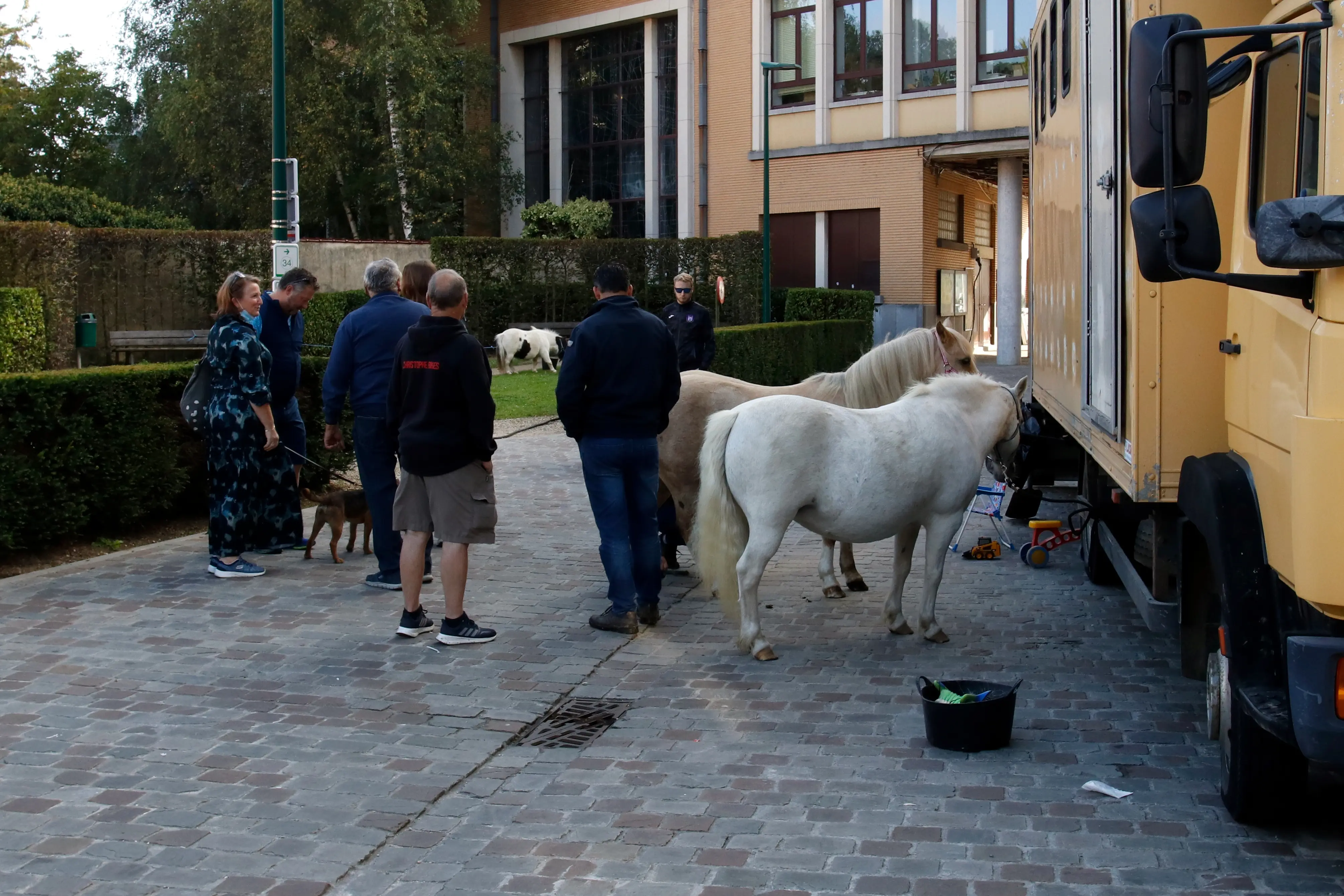 pony's en mensen op de Jaarmarkt.
